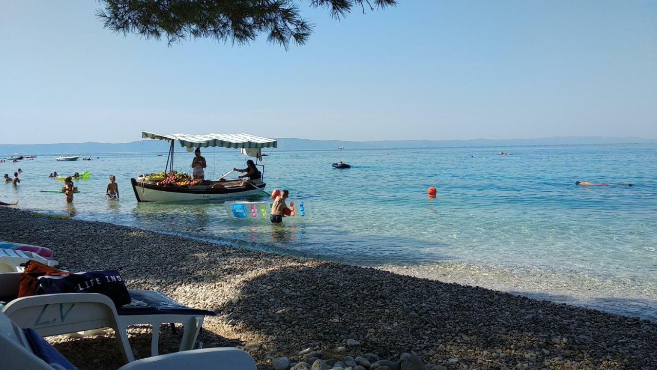 Nikolic *